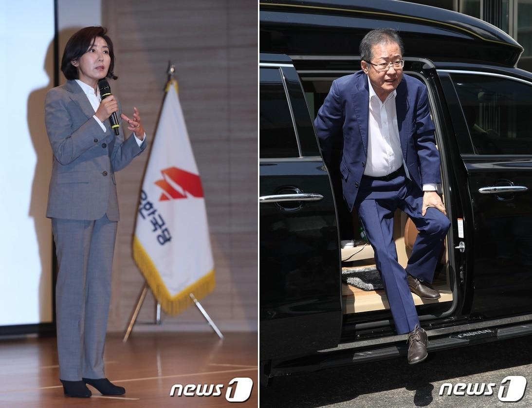 본문 이미지 - 나경원 자유한국당 원내대표(왼쪽) 홍준표 전 자유한국당 대표ⓒ 뉴스1