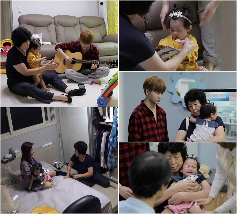 본문 이미지 - TV조선 ⓒ 뉴스1