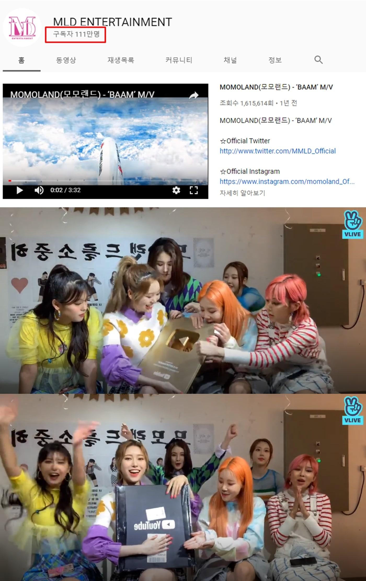 본문 이미지 - 모모랜드ⓒ 뉴스1