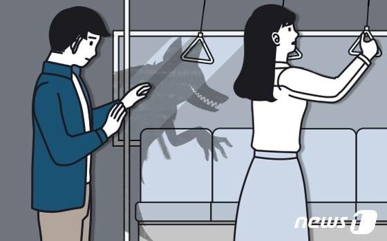 본문 이미지 - ⓒ News1 DB