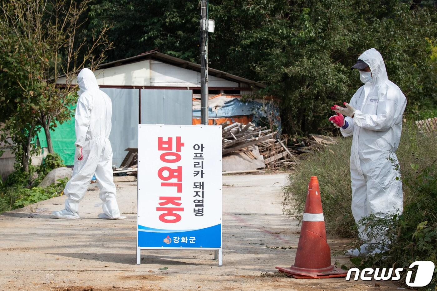 본문 이미지 - 25일 아프리카돼지열병(ASF) 확진 판정을 받은 인천 강화군 송해면 돼지농가 입구에서 방역 관계자들이 현장을 통제하고 방역작업을 하고 있다. 이 농가는 경기 파주(2곳), 연천, 김포에 이어 5번째 ASF 확진 판정을 받고 이날 새벽 농가 돼지 400여두를 모두 살처분했다. 2019.9.25 /뉴스1 ⓒ News1 유승관 기자