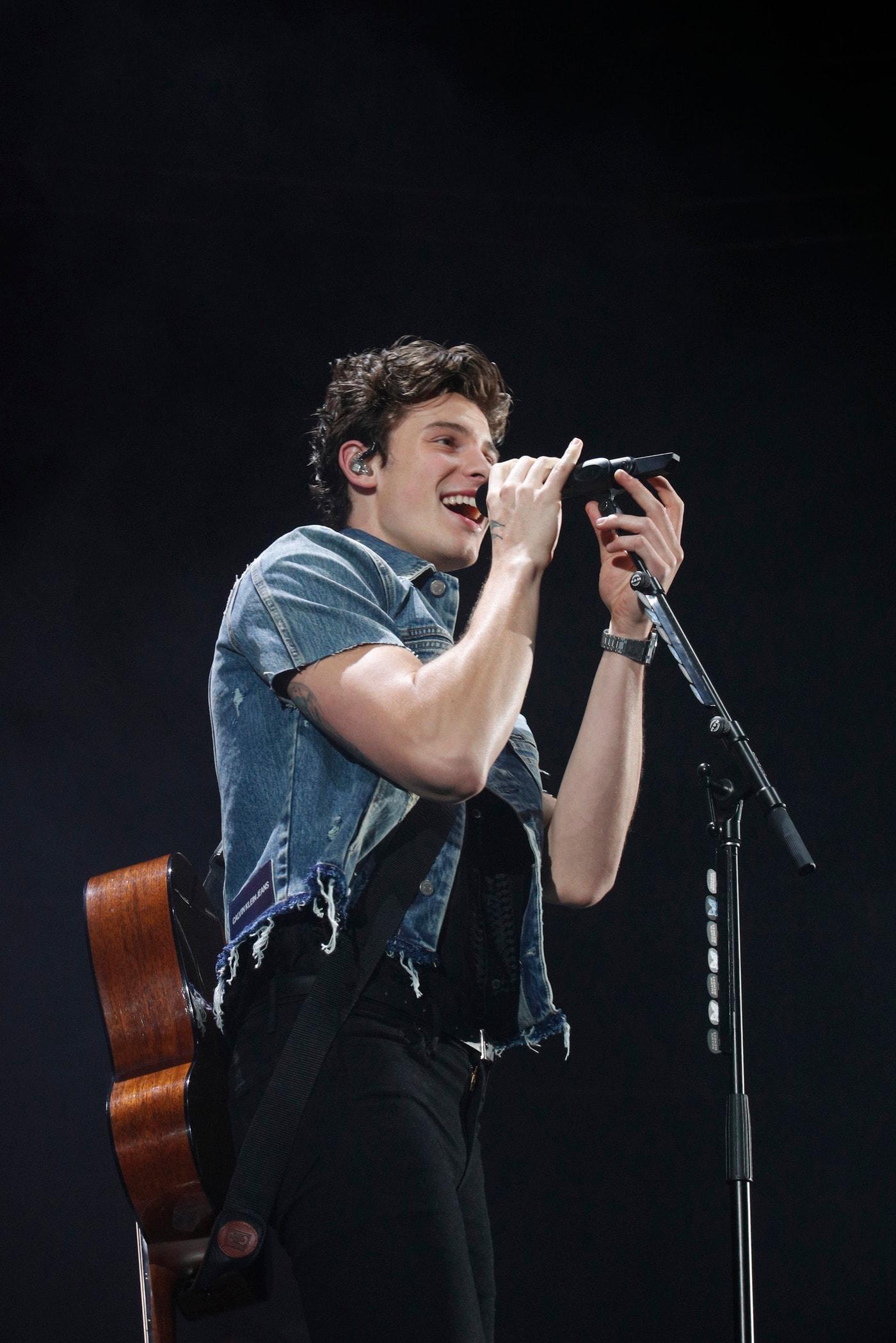 본문 이미지 - 션 멘데스 ⓒ 뉴스1