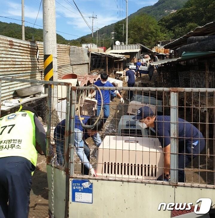 본문 이미지 - 국내 최대 사설 유기동물보호소 '애린원'이 지난 25일 철거됐다. ⓒ 뉴스1