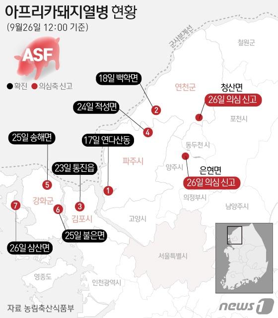 본문 이미지 - ⓒ News1 김일환 디자이너