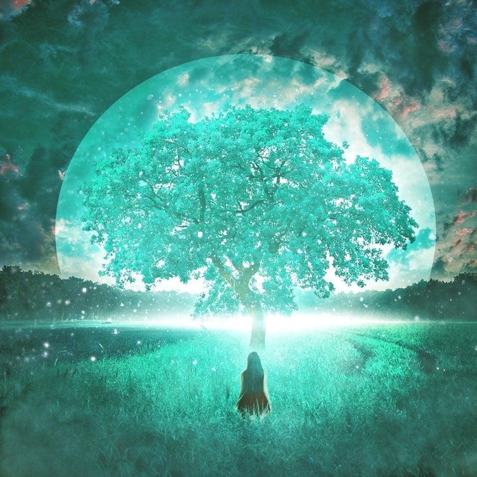 본문 이미지 - 코로나엑스 엔터테인먼트 ⓒ 뉴스1