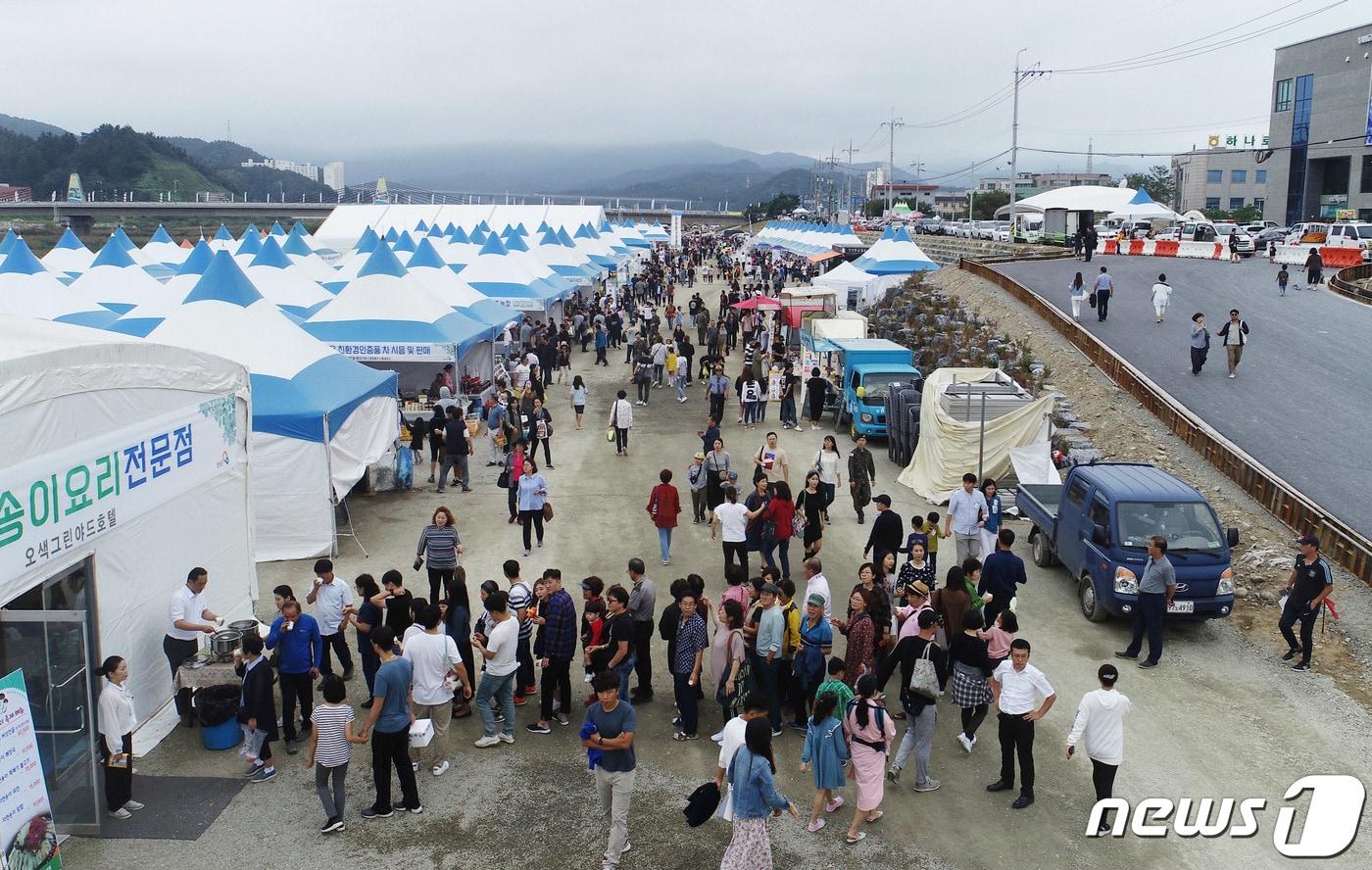 본문 이미지 - 2019년 강원 양양군 남대천둔치 일원에서 열린 양양송이 축제장이 주민과 관광객으로 북적이고 있다. (자료사진)/뉴스1