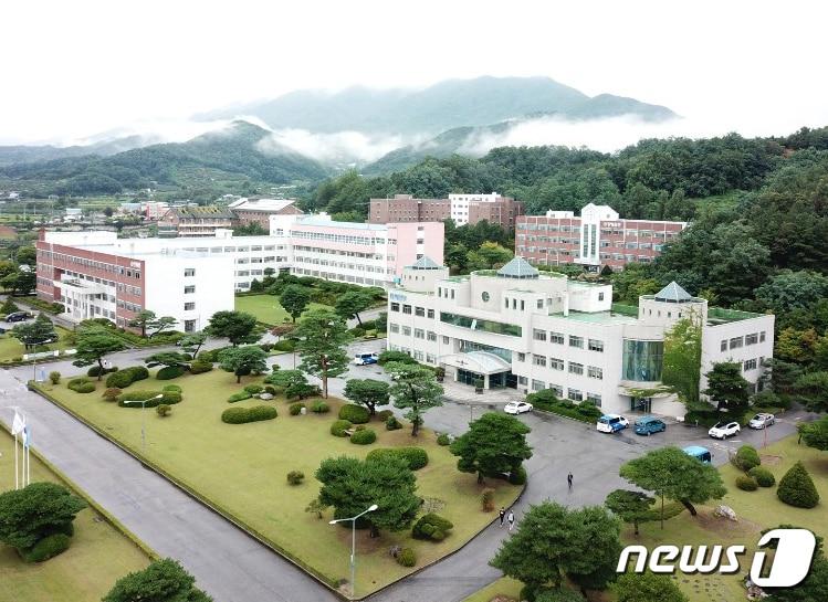 본문 이미지 - 동양대학교는 27일 김우재 보건행정학과 교수 연구팀이 로봇수술 공개가격을 분석한 결과, 81.4%가 최저·최고가 범위로 제시돼 환자별 적용 금액을 파악하기 어려운 것으로 나타났다. 사진은 경북 영주시 풍기읍 동양대학교 캠퍼스 /뉴스1