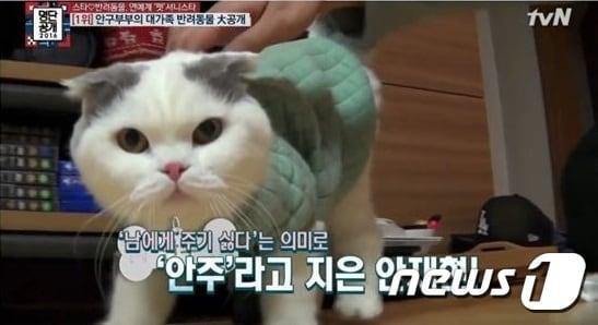 본문 이미지 - 사진 tvN 예능프로그램 '명단공개 2016 캡처ⓒ 뉴스1