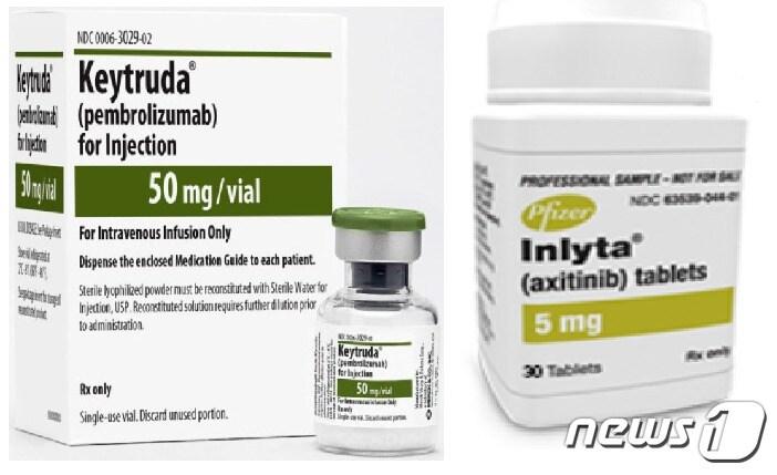 본문 이미지 - 면역항암제 키트루다와 인라이타 병용요법이 신세포암 1차 치료제로 유럽에서 승인받았다. ⓒ 뉴스1