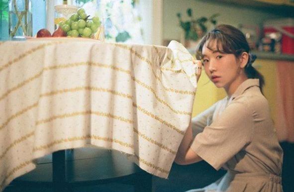 본문 이미지 - 케이시ⓒ 뉴스1