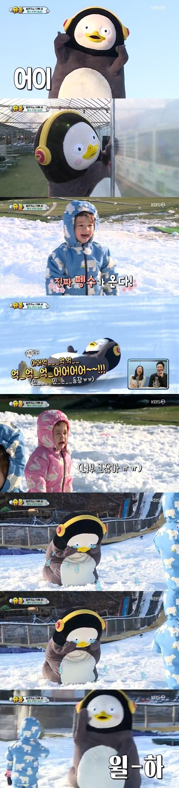 본문 이미지 - 슈돌ⓒ 뉴스1