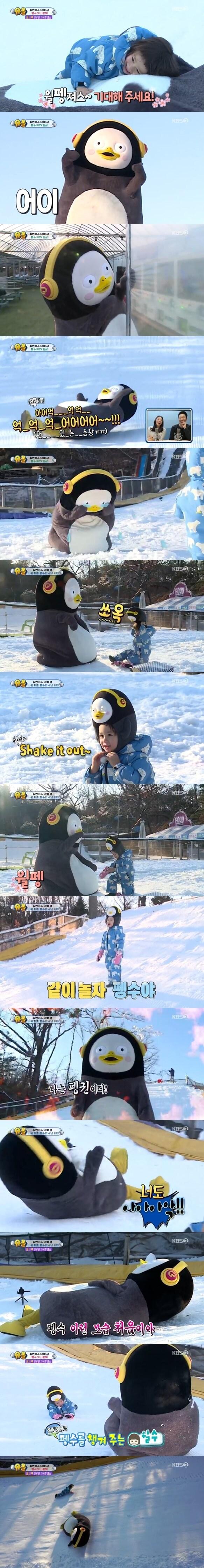 본문 이미지 - 슈돌ⓒ 뉴스1