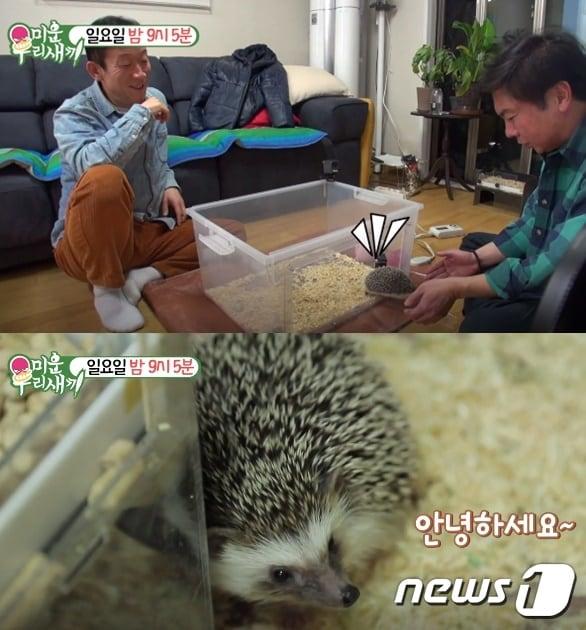 본문 이미지 - SBS '미운 우리 새끼' 영상 갈무리 ⓒ 뉴스1