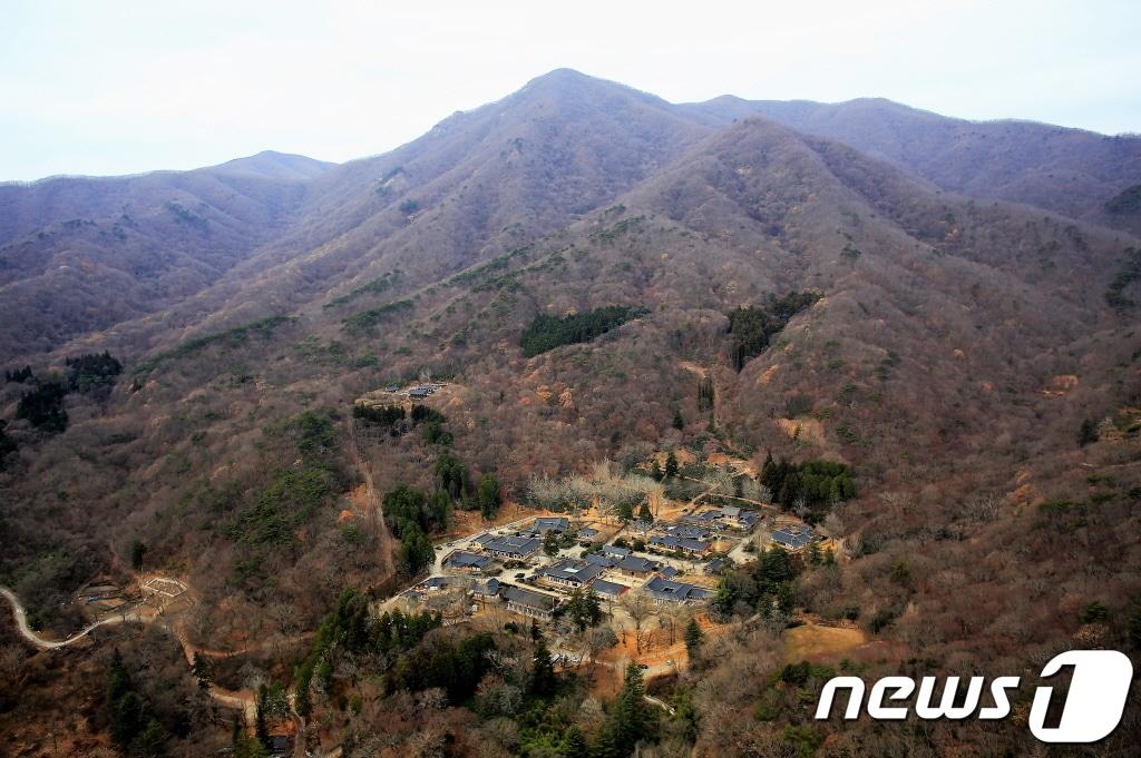 본문 이미지 - 선암사.(순천시 제공)/뉴스1 ⓒ News1 지정운 기자