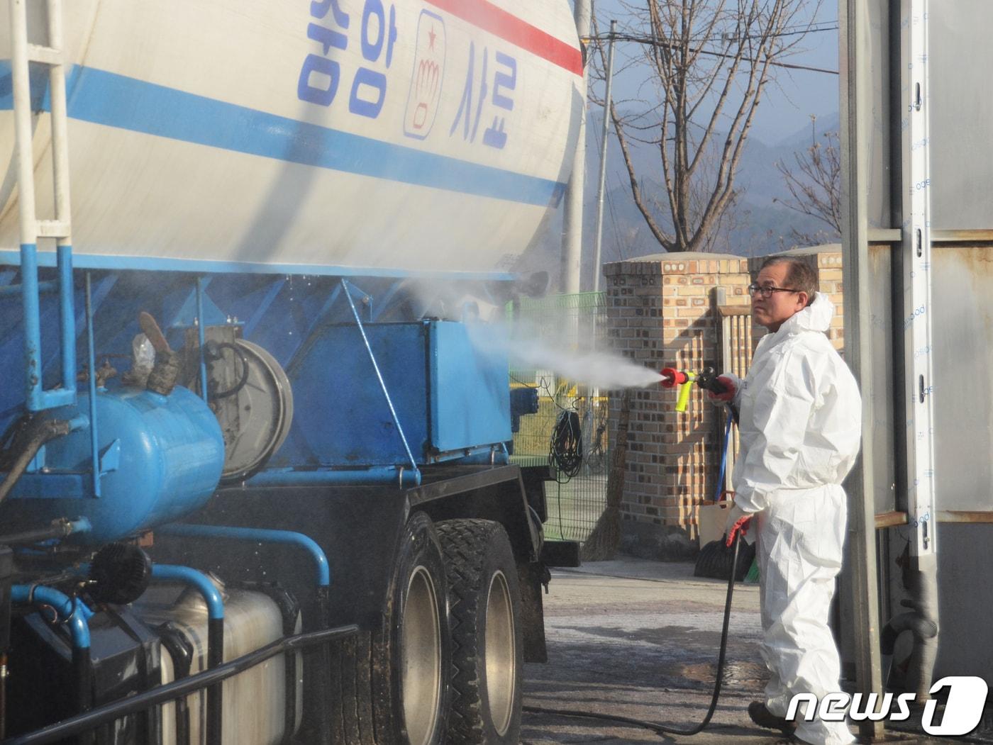 본문 이미지 - 강원 화천군 거점소독소에서 돼지 사료 운송 차량이 들어오자 아프리카돼지열병(ASF) 바이러스 확산을 막기 위한 소독작업이 실시되고 있다. ⓒ 뉴스1 이찬우 기자