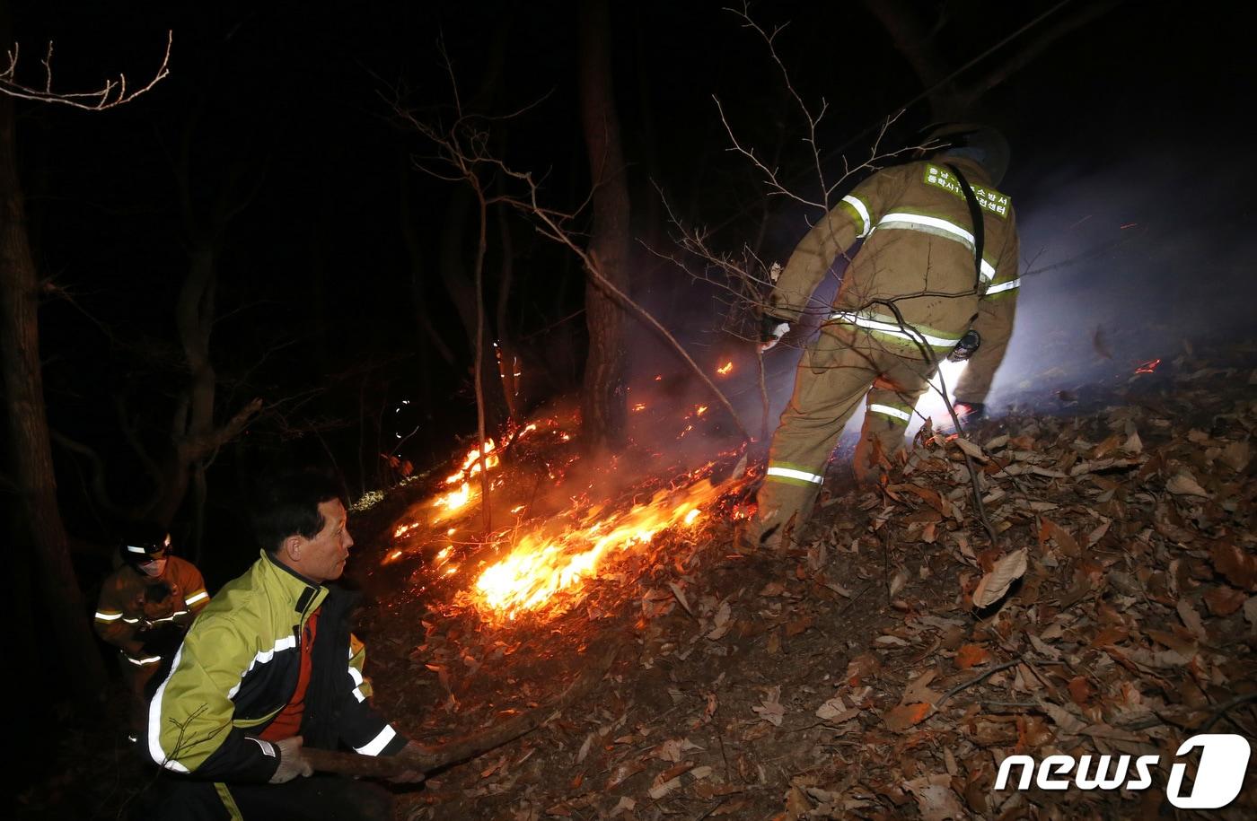 본문 이미지 - /뉴스1 ⓒ News1 김기태 기자