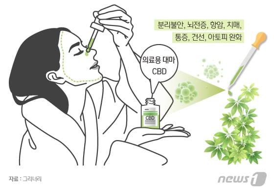 본문 이미지 - ⓒ News1 이지원 디자이너