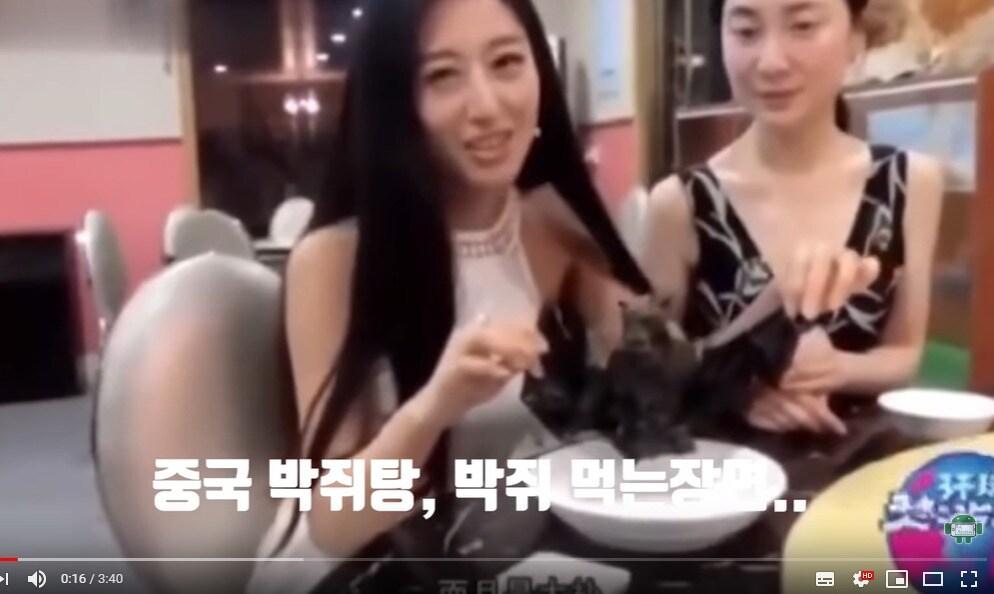 본문 이미지 - '우한 박쥐 먹는 장면'이라는 제목으로 게시된 동영상 <유튜브 화면 캡처>