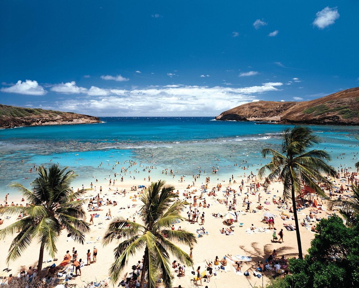 본문 이미지 - 하와이 해변