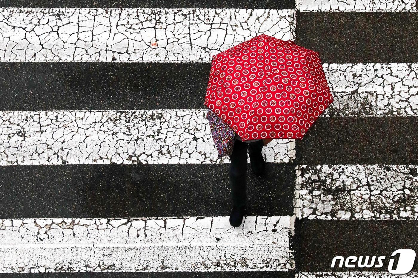 기사 이해를 돕기 위한 비 내리는 횡단보도 자료 사진으로 기사 내용과 직접 관련 없음. ⓒ News1