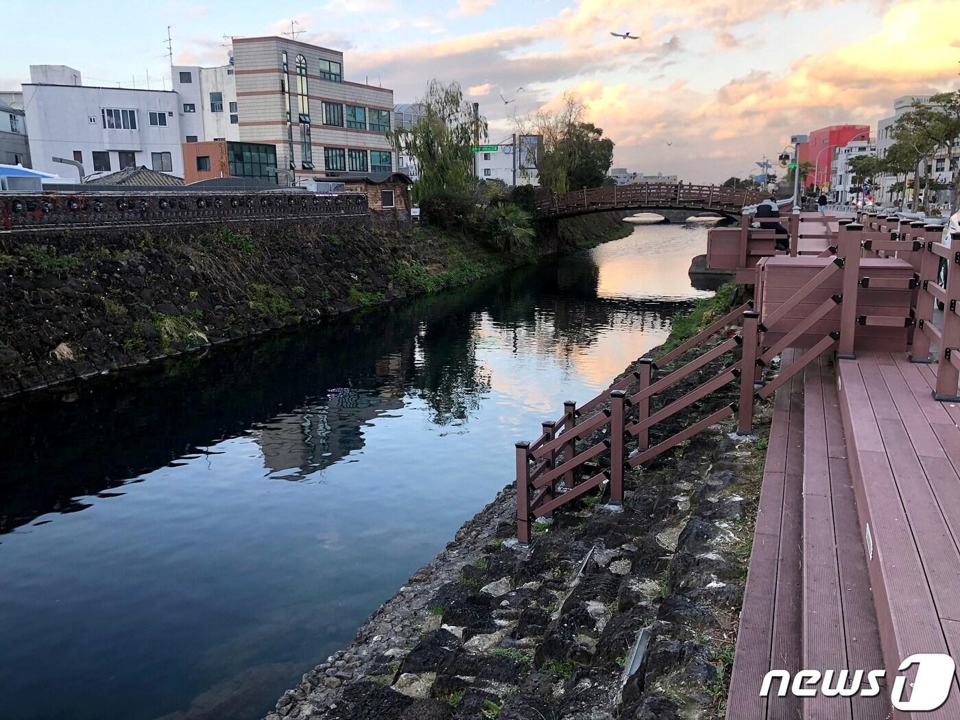 본문 이미지 - 지난 1일 노숙인 추락사 사고가 발생한 제주시 탐라문화광장. 사고 발생 후 제주시가 계단 출입을 통제하는 문을 설치했다. 2020.1.8 /뉴스1ⓒ News1