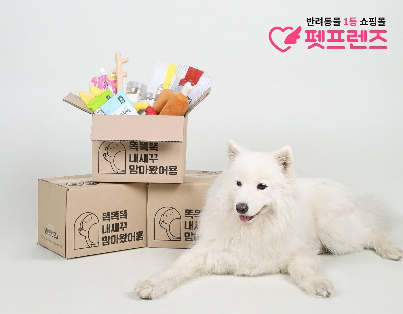 본문 이미지 - 사진 펫프렌즈 제공 ⓒ 뉴스1