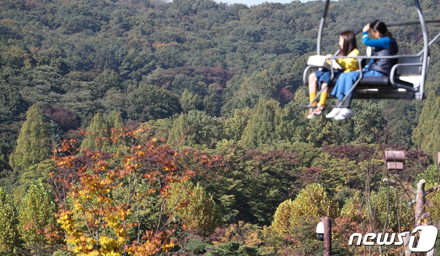 본문 이미지 - 18일 경기 과천시 서울대공원을 찾은 시민들이 알록달록 물든 단풍을 보며 가을 정취를 만끽하고 있다. 2020.10.18 ⓒ 뉴스1 허경 기자