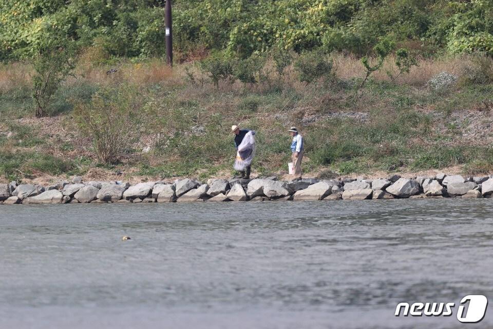 본문 이미지 - 경북 포항시가 최근 상수원 보호구역인 남구 연일읍 유강리 형산강 일원에서 목격되고 있는 불법어로행위 단속에 칼을 뽑았다. 지난 18일 오후 형산강에서 투망작업을 준비하고 있는 모습. (독자제공)2020.10.19/ⓒ 뉴스1