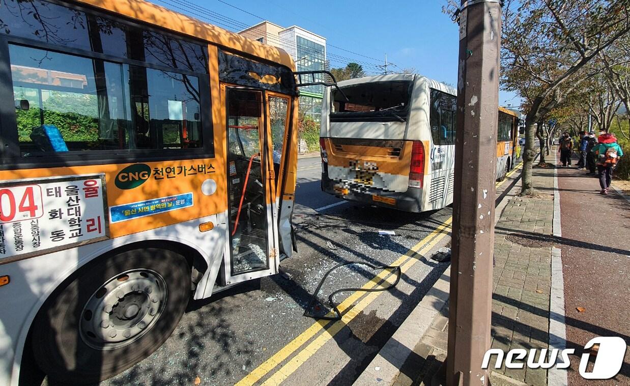 본문 이미지 - (자료사진) / 뉴스1 ⓒ News1