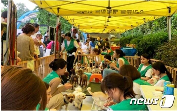 본문 이미지 - '유행사' 캠페인 모습(용산구제공)ⓒ 뉴스1