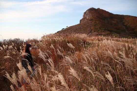 본문 이미지 - 경남 산청 황매산의 가을&#40;산청군 제공&#41; 2020.10.22/뉴스1