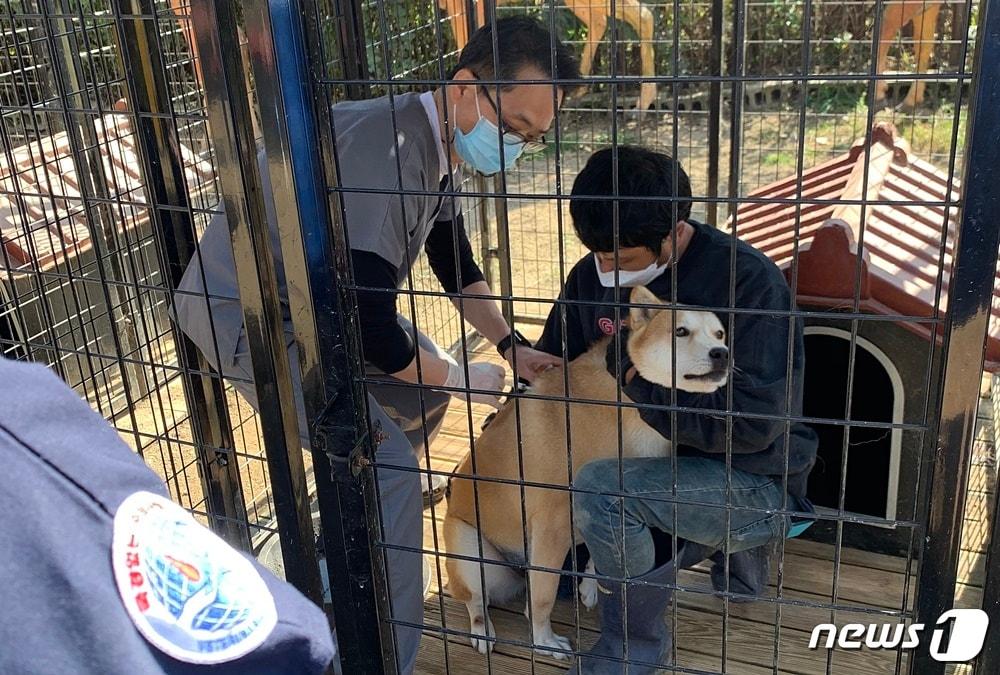 본문 이미지 - 경기도수의사회 소속 수의사 등은 25일 경기 용인시의 한 사설 동물보호소에서 의료 봉사를 진행했다. 사진 경기도수의사회 제공 ⓒ 뉴스1