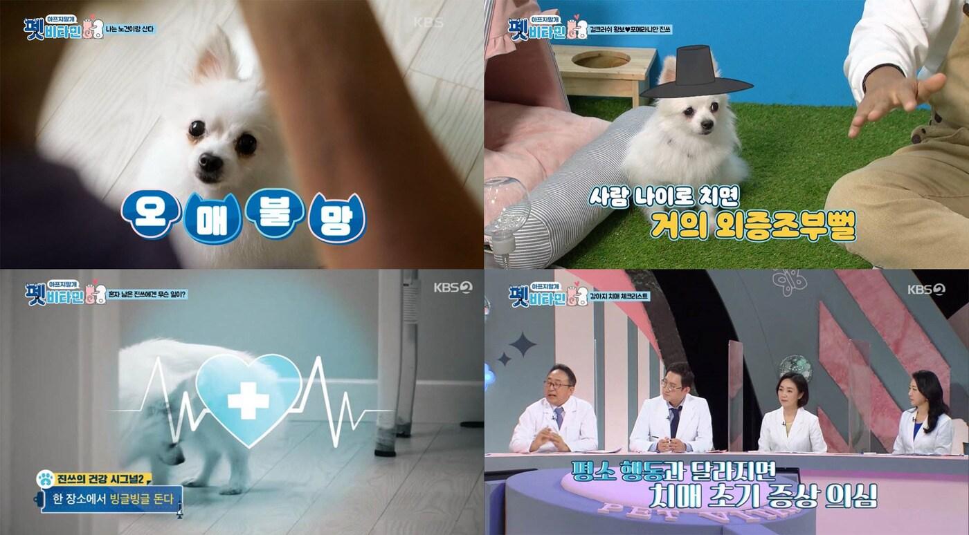 사진 펫비타민 제공 ⓒ 뉴스1