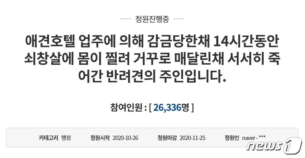 본문 이미지 - 청와대 국민청원 홈페이지 화면 캡쳐. ⓒ 뉴스1