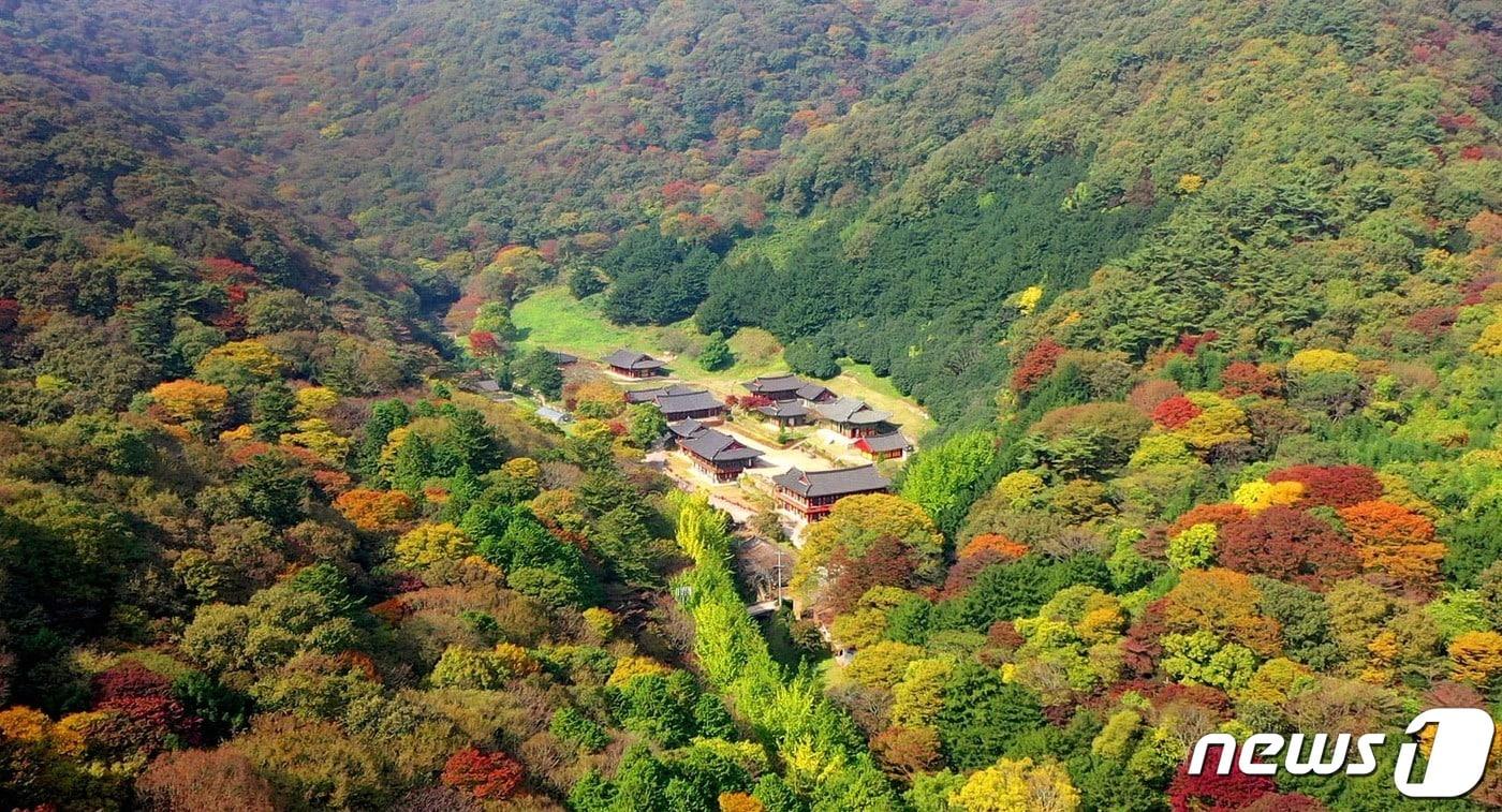 나주시 다도면 덕룡산 자락에 자리한 천년고찰 불회사.(나주시 제공, 재배포 및 DB 금지)/뉴스1