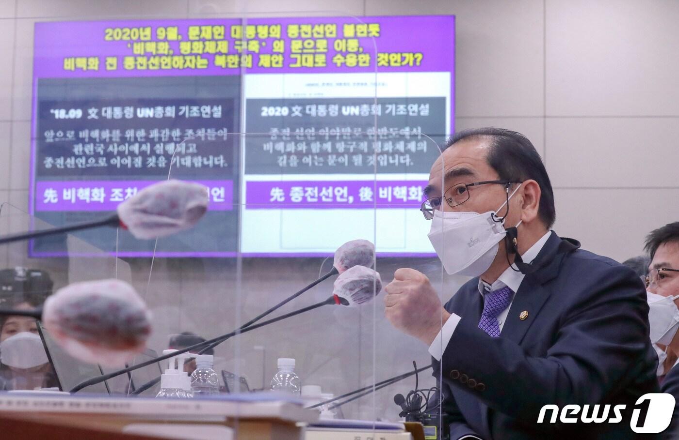 본문 이미지 - 태영호 국민의힘 의원이 7일 서울 여의도 국회에서 열린 외교통일위원회의 외교부에 대한 국정감사에서 강경화 장관에게 질의하고 있다. 2020.10.7/뉴스1 ⓒ News1 박세연 기자