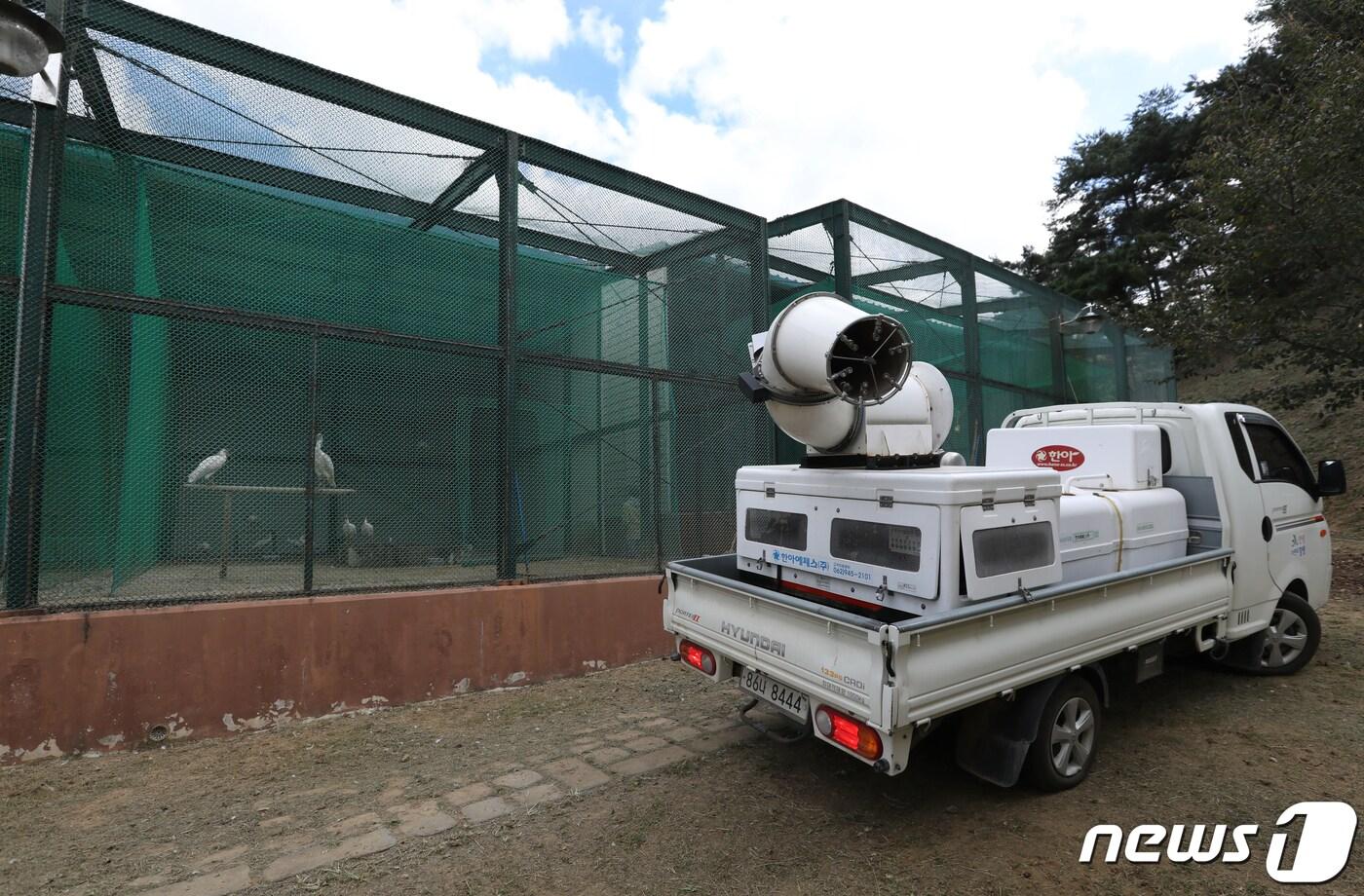 경남 창녕군 따오기복원센터에서 관계자들이 천연기념물 제198호인 따오기와 유사 따오기를 대상으로 조류인플루엔자&#40;AI&#41; 방역을 하고 있다.2020.10.8/뉴스1 ⓒ News1 DB