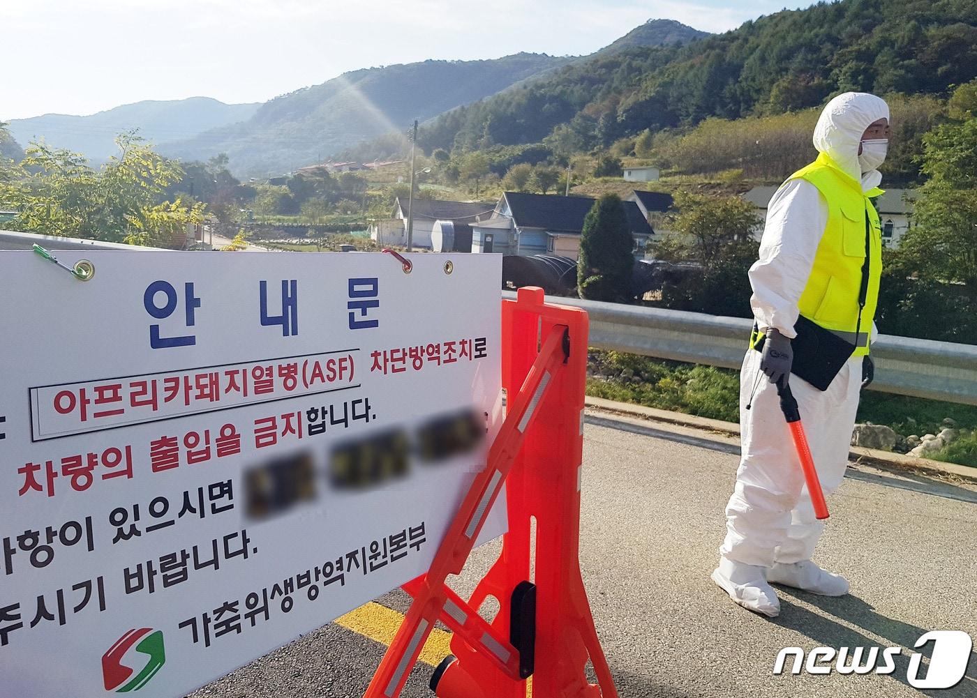 본문 이미지 - 충북도 재난안전대책본부가 지난달 31일 오후 6시를 기해 도내 북부지역에 'ASF(아프리카돼지열병) 위험주의보'를 발령했다. 사진은 기사와 관련 없음.(뉴스1 DB).2021.1.3/ⓒ News1