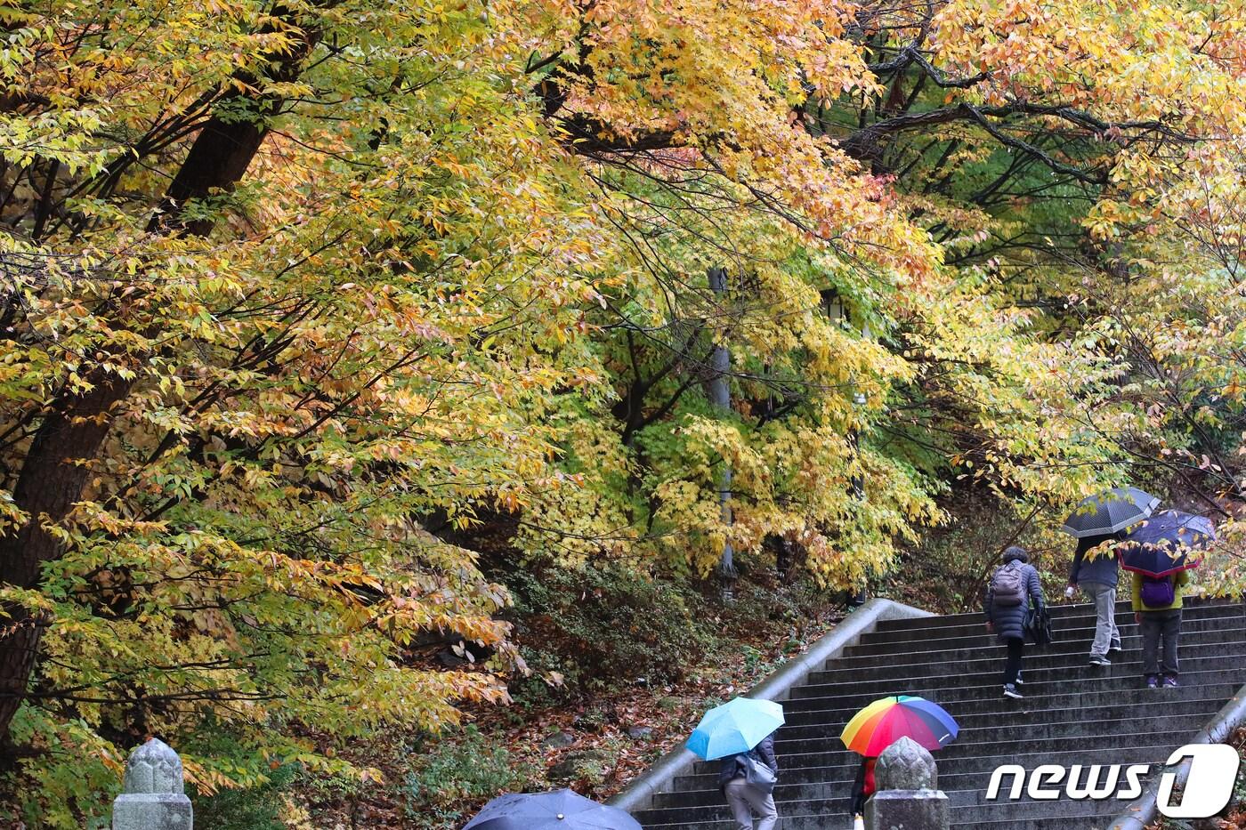 본문 이미지 - 대구 동구 팔공총림 동화사에서 열린 '2020 팔공산 산중장터 승시(僧市) 축제'를 찾은 시민들이 단풍이 곱게 물든 행사장 주변을 걷고 있다. 2020.11.1/뉴스1 ⓒ News1 공정식 기자