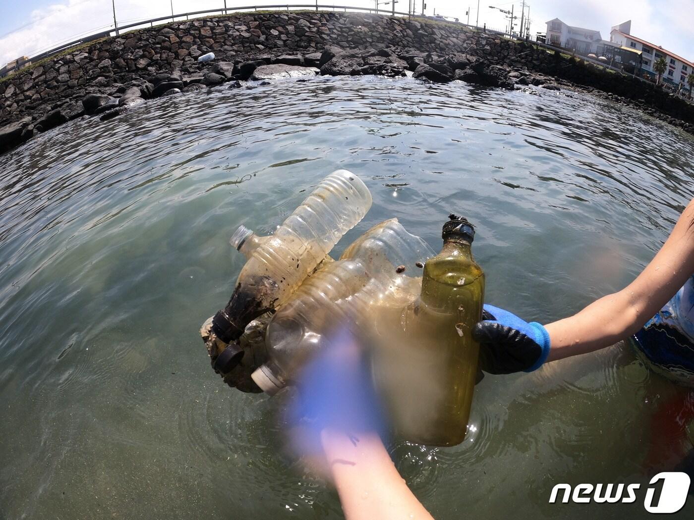 본문 이미지 - 제주 앞바다에서 건져 올린 플라스틱 쓰레기.(디프다 제주 제공)2020.11.14/뉴스1ⓒ News1