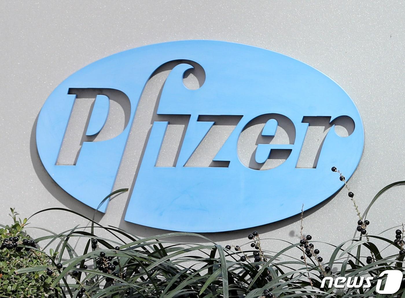 본문 이미지 - 2020.11.10/뉴스1 ⓒ News1 이성철 기자