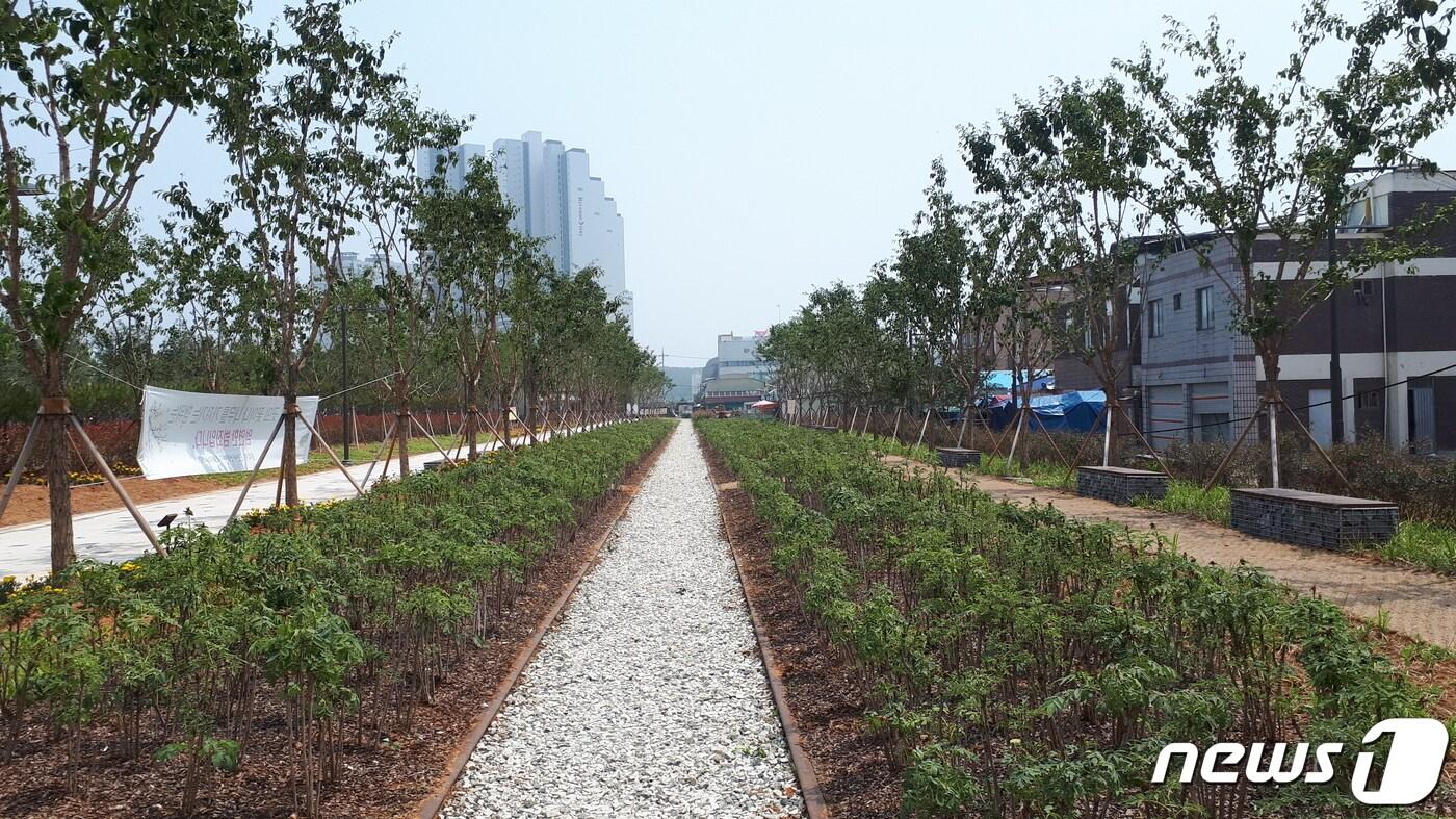 본문 이미지 - 전북 군산시 중앙동 뉴딜사업 지구 내 폐철도 부지.ⓒ 뉴스1
