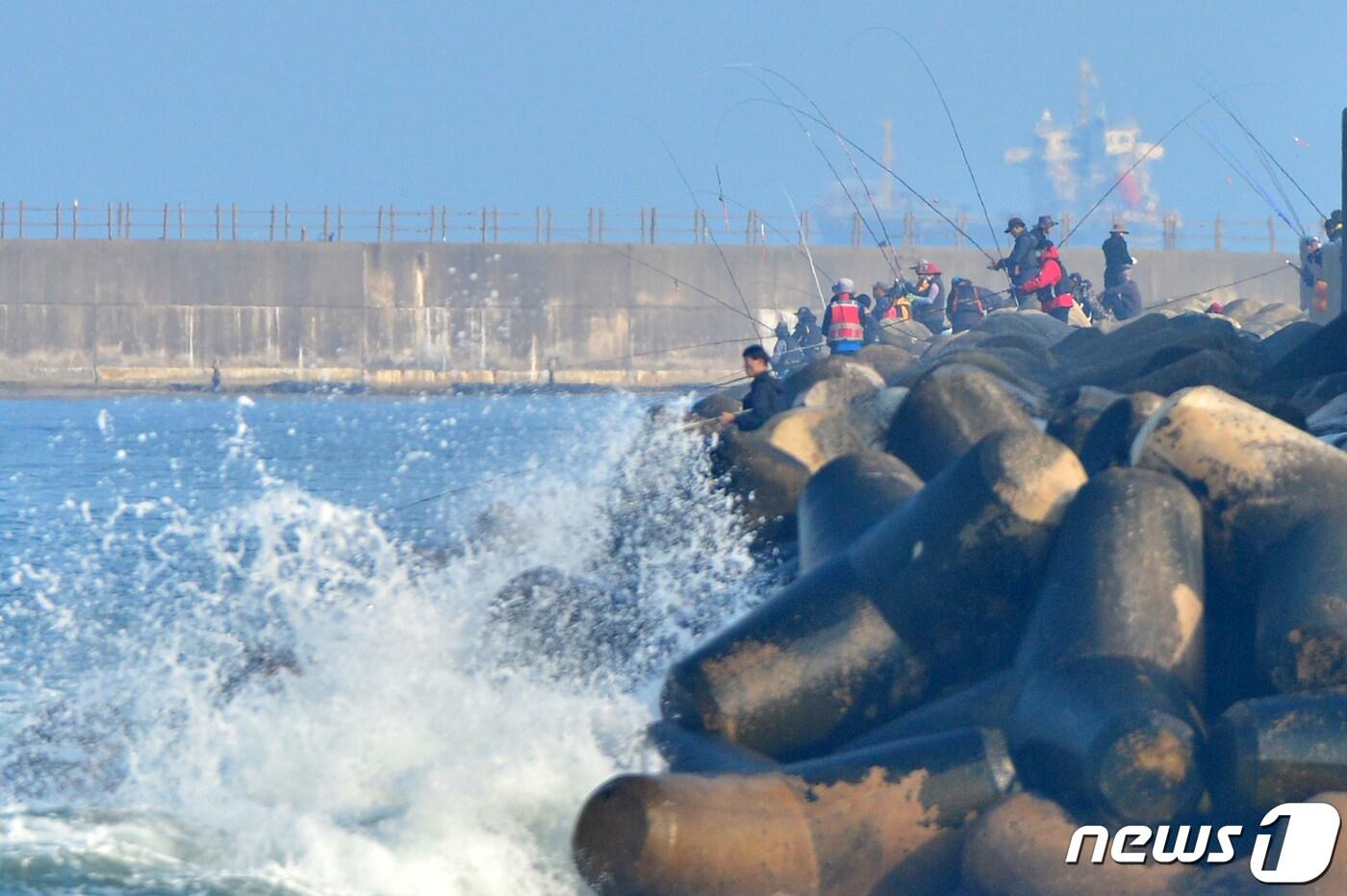 17일 오후 경북 포항시 북구 흥해읍 용한리 영일만항 방파제에서 강태공들이 낚시를 하고 있다. 2020.11.17/뉴스1 ⓒ News1 최창호 기자