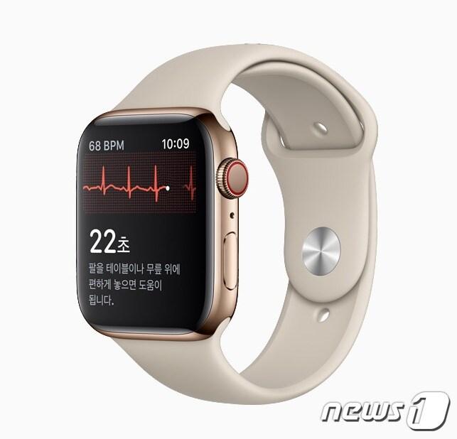 본문 이미지 - ⓒ 뉴스1