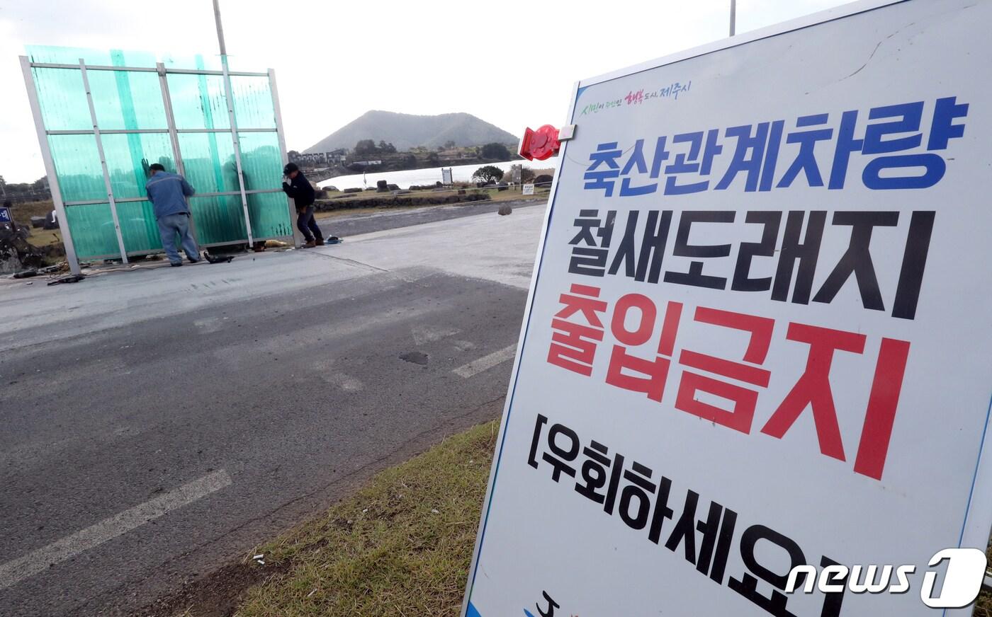 본문 이미지 - 23일 오전 고병원성 조류인플루엔자(AI)가 확진된 제주시 구좌읍 하도리 철새도래지에 차량소독기가 설치되고 있다.2020.11.23/뉴스1 ⓒ News1 오현지 기자