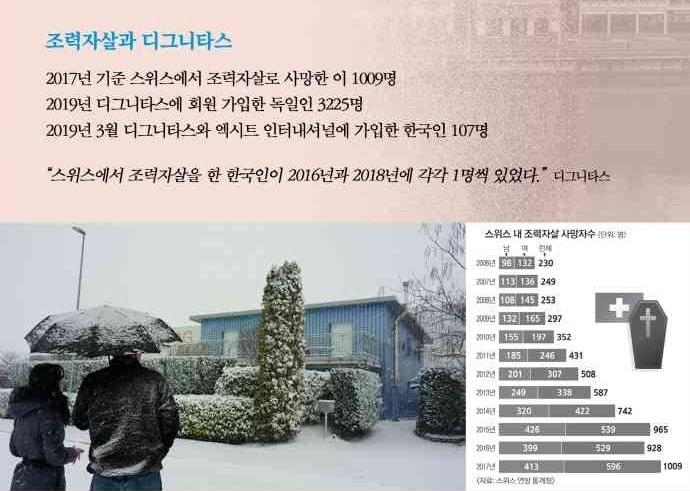 본문 이미지 - 디그니타스ⓒ 뉴스1