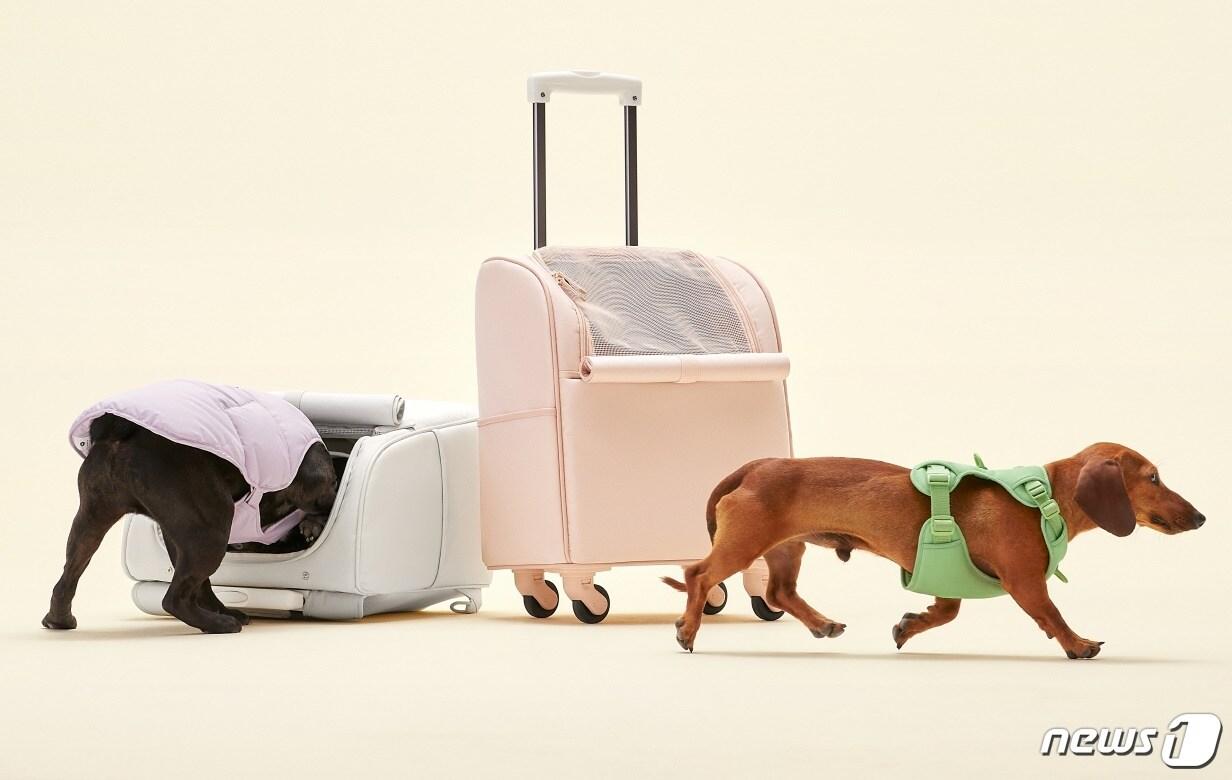 본문 이미지 - 사진 블랭크코퍼레이션 제공 ⓒ 뉴스1