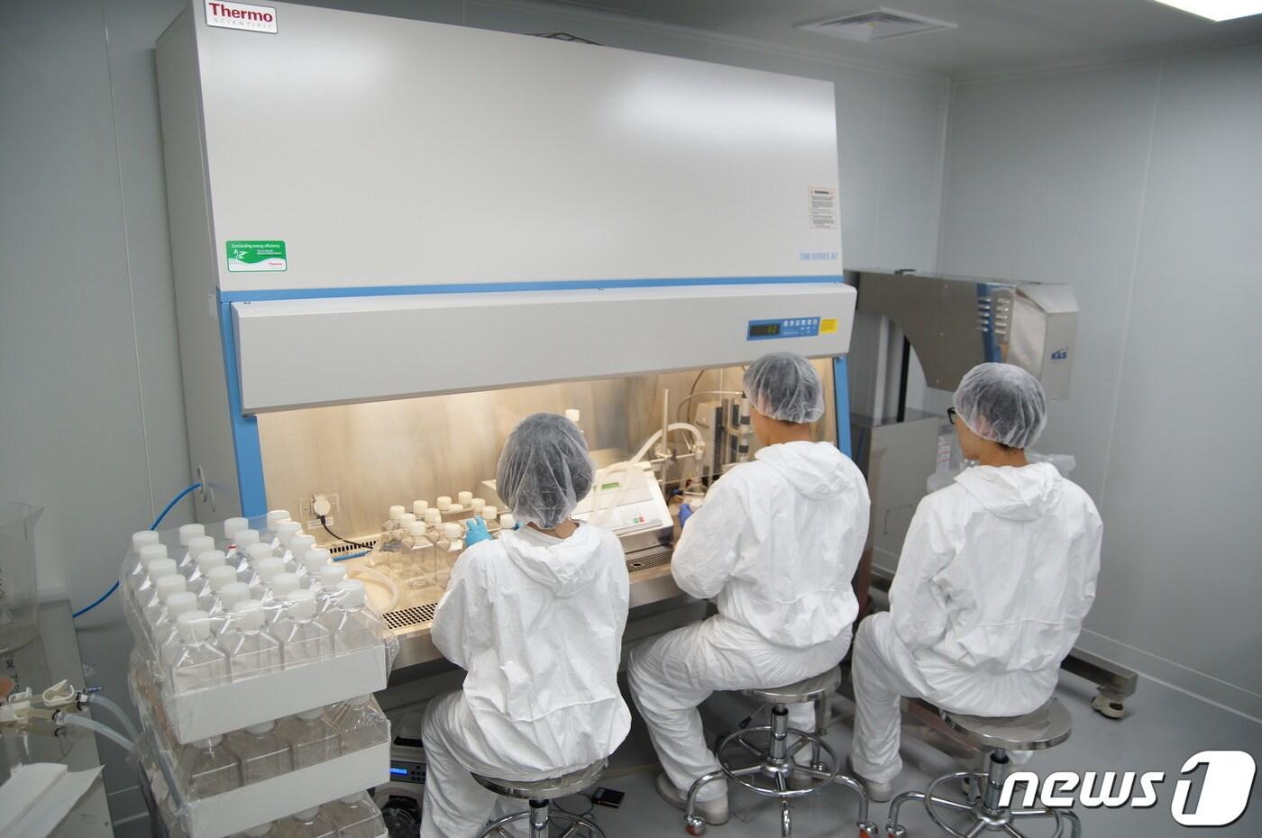 국내 바이오기업 엑셀세라퓨틱스 연구진이 신종 코로나바이러스 감염증(코로나19) 검체를 옮길 수 있는 수송배지(VTM)를 개발 ⓒ 뉴스1