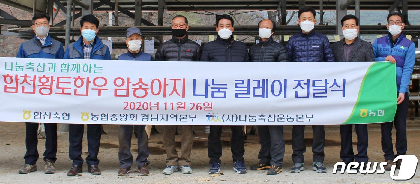 본문 이미지 - 합천군은 26일 합천축협 혈통등록우 경매시장에서 ‘합천황토한우 암송아지 나눔 릴레이 전달행사’를 가졌다. (합천군 제공) ⓒ뉴스1