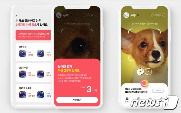 본문 이미지 - 똑똑케어. 사진 에이아이포펫 제공 ⓒ 뉴스1